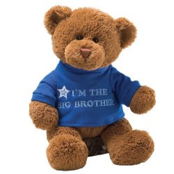 中亚prime会员:GUND I'm Big Brother 泰迪熊 1