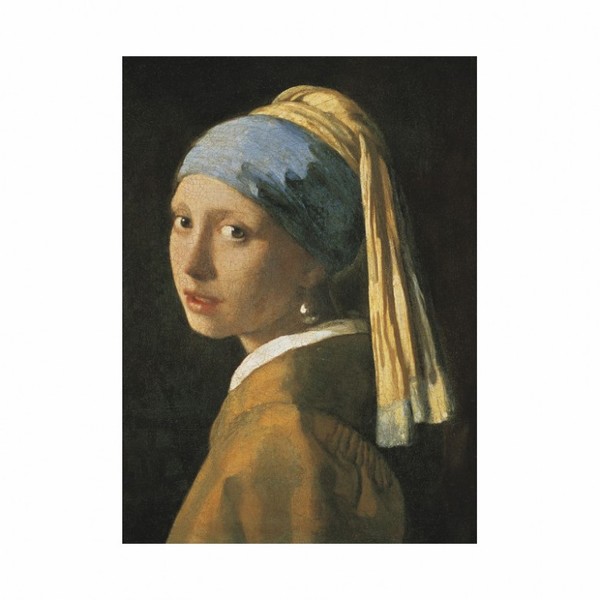 商品kors puzzle 世界名画系列 戴珍珠耳环的少女拼图 (1000片)