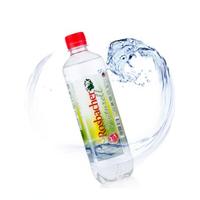 Rosbacher 洛斯巴赫 天然矿泉水 500ml*6瓶