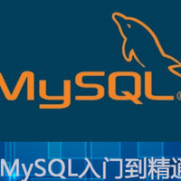10点秒杀:SQL数据分析 实战数据库MySQL 课