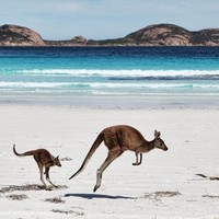 跟团游：全国多地-澳大利亚+新西兰14天