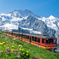 值友专享返红包：瑞士火车铁路通票 Swiss Pass 3日周游券