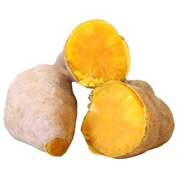 味道网 山东临沂老黄皮地瓜5斤 老品种老味道 香甜软糯 新鲜现挖 产地