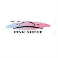 Pink Sheep/粉色绵羊