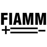 FIAMM/菲亚姆
