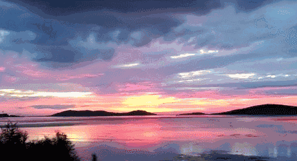 早晚走在湖边散步赏景,烟波浩渺,绿树掩荫光影跳动,小鸟扑簌飞过,有种