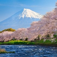 特价机票：春秋航空 全国多地-日本（大阪/东京）5-8天往返含税机票