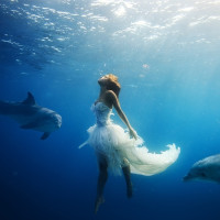 蜜月旅行:上海\/成都\/香港-毛里求斯7天5晚自由