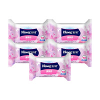 Kleenex 舒洁 女性湿厕纸 24片*10包