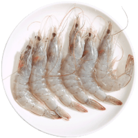 海鲜虾鲜活速冻大虾超大特大水产海虾对虾新鲜厄瓜多尔白虾冷冻
