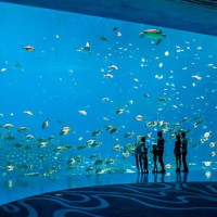 门票特惠:惠民月促销 珠海长隆海洋王国门票