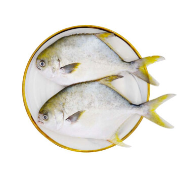 水巷口 冷冻无公害金鲳鱼两条装 500g/袋 两条  袋装 火锅食材 海鲜水产