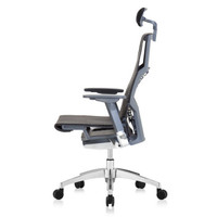 Ergonor 保友办公家具 POFIT 人体工学电脑椅 (标配版)