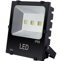 HD LED投光灯 投射灯超亮户外照明 IP66防水广告招牌灯户外灯 100W 白光