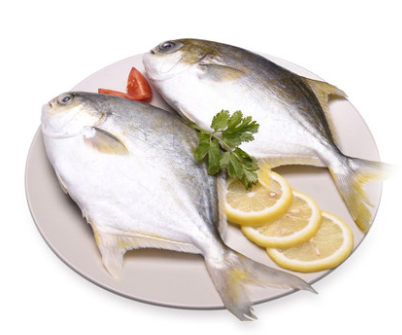 广东 金鲳鱼 500g (2条装)  