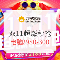 促销活动：苏宁易购 11.11全民嘉年华 超燃秒抢专场