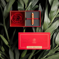 意外设计 小时光便携钢笔-花信礼盒 EF尖/红花梨木+红玫瑰