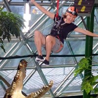 世界上第一家室内高空绳索冒险野生动物园！澳大利亚凯恩斯室内穹顶野生动物园