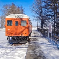 出游必备：日本北海道铁路周游券JR Pass 可选连续3、5、7天券及10天任选4天券
