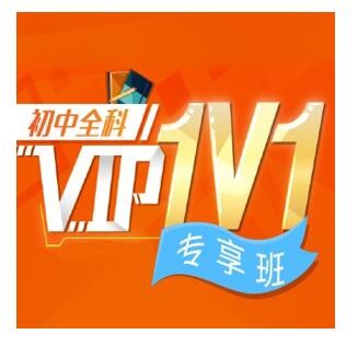 沪江网校 中小学名师1V1【2课时VIP定制】