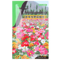 花儿朵朵 多年生野花组合 花卉种子 300粒/袋