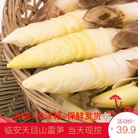 廿四食光—春分：风雷送暖入中春，桃柳着装日日新