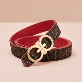 马莎兰缇（MashaLanti）皮带女士韩版装饰简约平滑扣腰带女时尚百搭复古学生细腰裤带 H010B啡配酒红