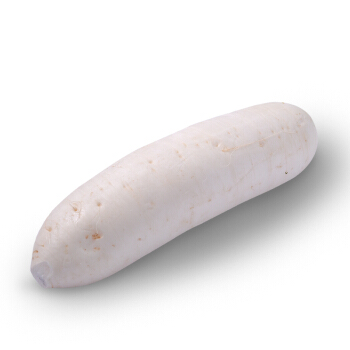 绿农说 供港白萝卜 约750g  火锅食材 新鲜蔬菜