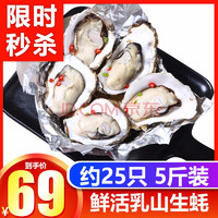 南泓村 乳山生蚝  鲜活牡蛎2.5kg(B规格约25个)