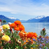 旅游尾单：暑假 海南航空 上海往返瑞士苏黎世机票