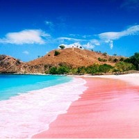 粉色沙滩！看大蜥蜴！全国多地-印度尼西亚巴厘岛+科莫多岛8天6晚半自助游
