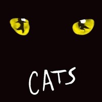 经典来袭！北京站 世界经典原版音乐剧《猫》CATS门票