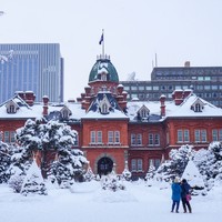 雪季！一波北海道低价机票了解一下