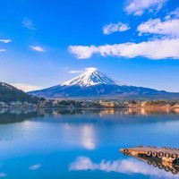 全年可订！东京-富士山一日游（正规绿牌车+中文司导）