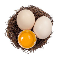 谷物饲养鲜鸡蛋30枚  月子蛋宝宝辅食营养蛋 包邮 20枚装 *3件