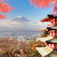 红叶季/中秋/元旦票！天津-日本东京/札幌/大阪/名古屋