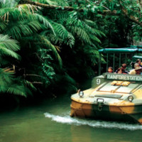 值友专享、当地玩乐：当地必玩！澳大利亚 凯恩斯 库兰达雨林一日游