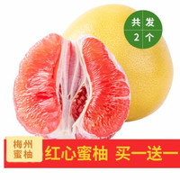 正宗梅州蜜柚 应季新鲜水果 坏果包赔 现摘现发共发2个 精选红柚2个装 带箱约5斤