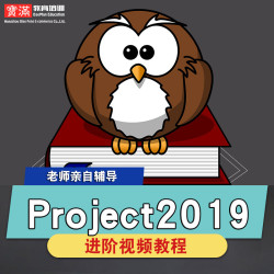 project2019视频教程项目管理pmp工程类实战培训教学自学在线课程