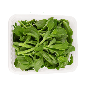芬果时光 新鲜冰草菜水晶菜 约1.5斤*2件