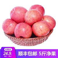 苹果陕西红富士苹果水果生鲜新鲜水果5斤  补新货
