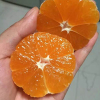 集鲜锋四川爱媛38号果冻橙 橙子 五斤