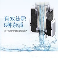东丽（TORAY） SWC-H-CH 滤芯 日本台面净水器滤芯 强效除菌标准版 一芯装