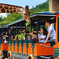 当地玩乐、亲子游：200+种10000多只世界珍稀动物！杭州野生动物世界门票 大小通用