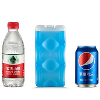 爱斯基 ESKY 保温箱冰袋冰板 冰晶盒制冷直板蓝冰 冷藏冰板 350ML冰板