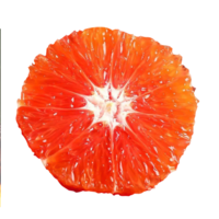 限地区：集鲜锋 四川资中塔罗血橙精品果子  五斤中果（18-25枚）