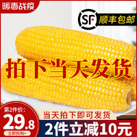 玉歌忻州黄玉米10支新鲜糯玉米非东北黏粘玉米棒真空