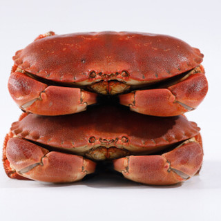 面包蟹多少钱一斤