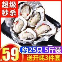 南泓村 乳山生蚝  鲜活牡蛎2.5kg  新鲜海蛎子 海鲜水产生蚝 刺身生蚝2.5kg (B规格-约25个)