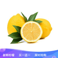 华通 安岳黄柠檬 5斤